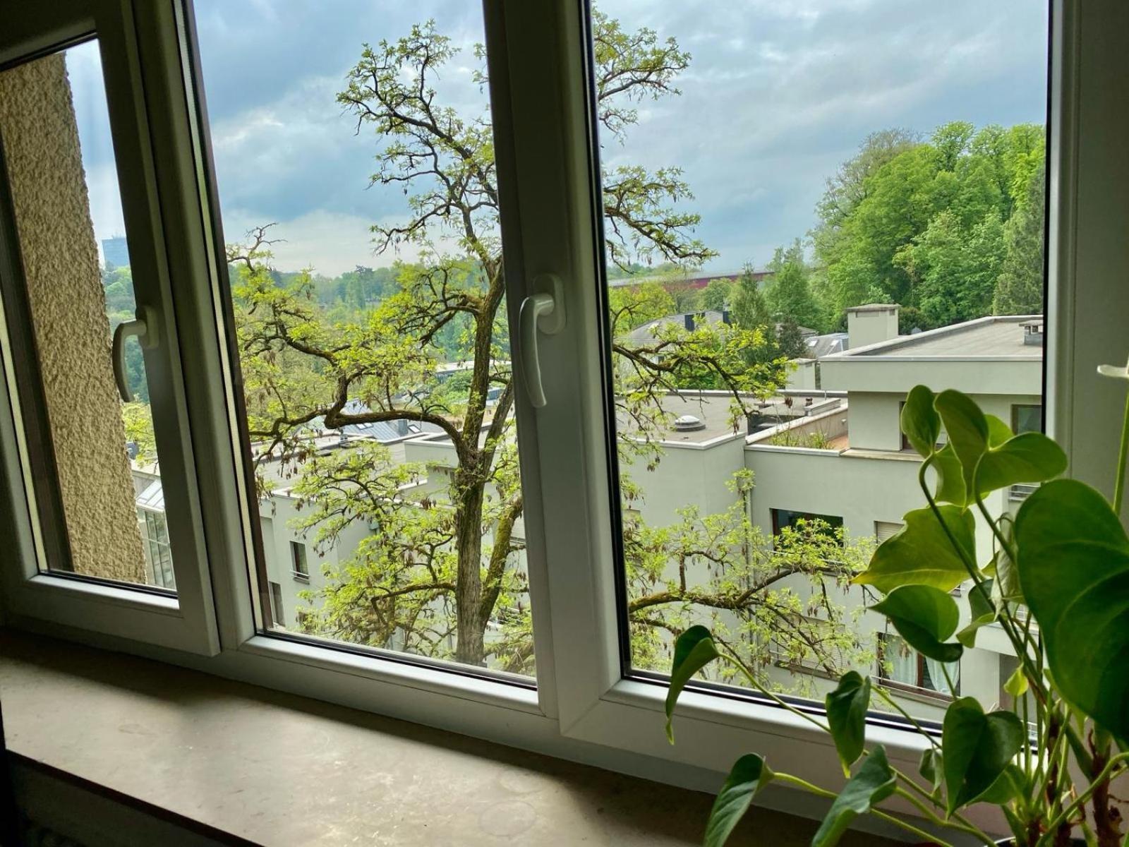 卢森堡 Rue Des Glacis Limpertsberg酒店 外观 照片